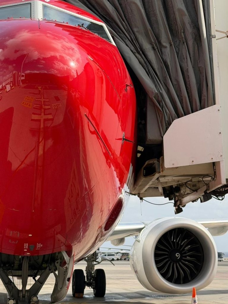 Norwegian aircraft b737